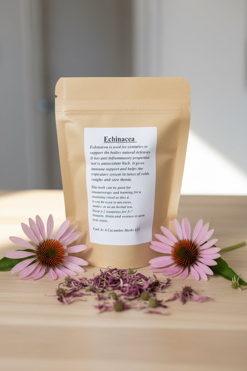 Echinacea
